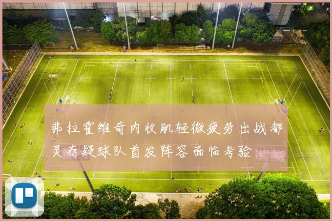 弗拉霍维奇内收肌轻微疲劳出战都灵存疑球队首发阵容面临考验